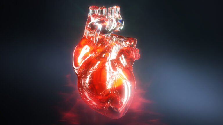Glass Heart — How do you illustrate an open heart for The Washington Post?